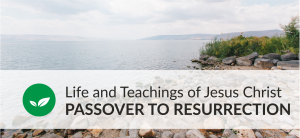 LT Passover to Resurrection unit sm