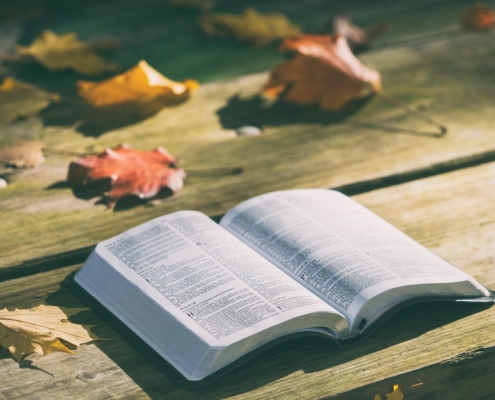 bible-1868070_1280