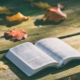 bible-1868070_1280