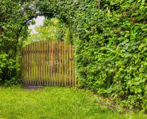 garden-gate-5312586_1280