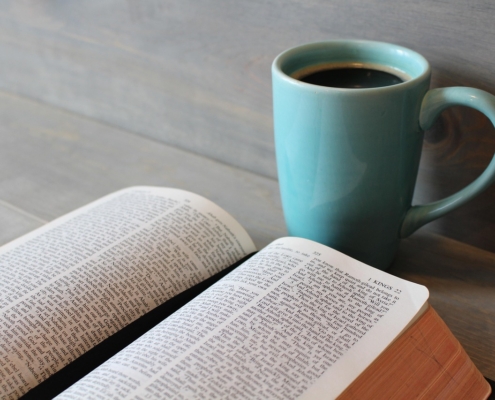 mnplatypus-bible-896220_1280