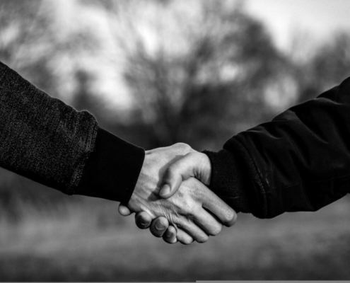 un-perfekt-handshake-4040911